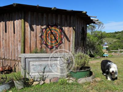 Retiros - Talleres Octógono Om Shanti Villa Serrana .- Foto del 22/11/17, 15:53