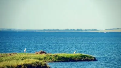 Laguna Merín: Un nombre pequeño para una laguna enorme