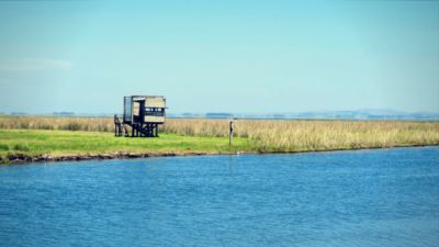Paseos y Actividades Laguna Merín: Un nombre pequeño para una laguna enorme Rocha