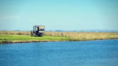 Outdoor activities Laguna Merín: Un nombre pequeño para una laguna enorme Rocha
