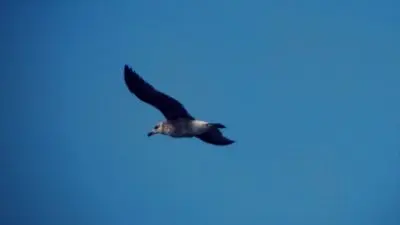 Outdoor activities Laguna Garzón: La aventura de viajar Rocha