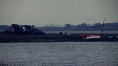 Paseos y Actividades Laguna de Rocha: hacer un safari  Rocha
