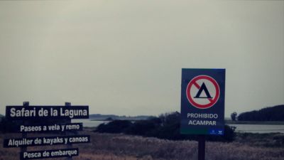 Paseos y Actividades Laguna de Rocha: hacer un safari  Rocha