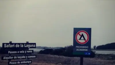 Passeio e Atividades Laguna de Rocha: hacer un safari  Rocha