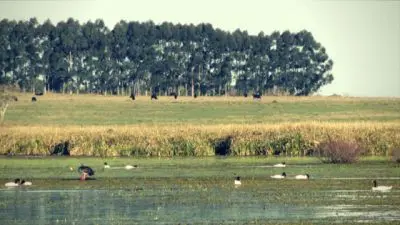 Paseos y Actividades Laguna de Castillos: la diversa Rocha