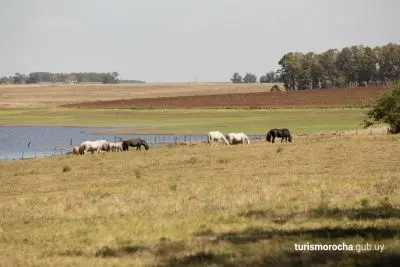 Passeio e Atividades Lago y Represa de India Muerta: el paraíso de la pesca Rocha