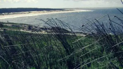 Cerro Verde: entre fauna increíble y vistas impactantes