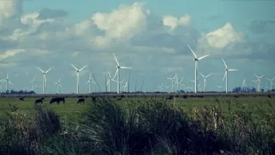Outdoor activities Barra del Chuy: fauna marina y aves Rocha