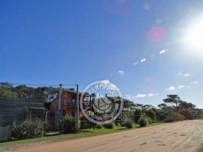 Apple y Cartufa - Punta del Diablo .- Foto del 21/8/18, 15:46