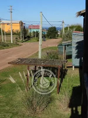 Apple - Punta del Diablo