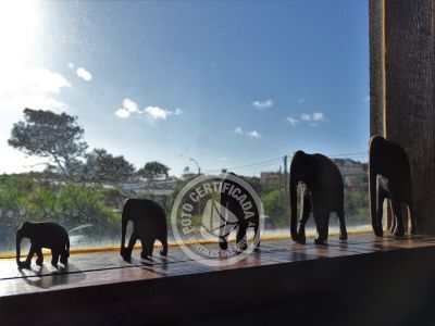 Apple - Punta del Diablo