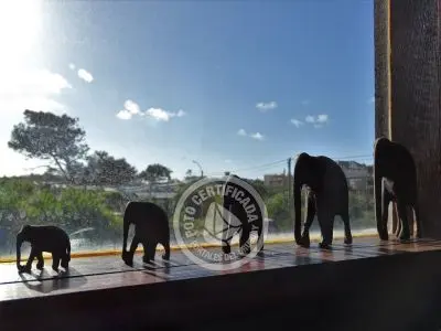 Apple - Punta del Diablo