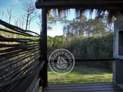 Cartufa - Punta del Diablo