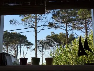 La Pacífica - Punta del Diablo