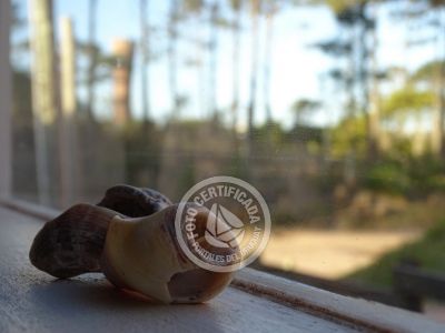 La Pacífica - Punta del Diablo