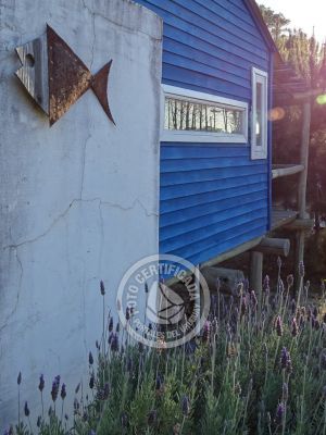 La Quisquillosa - Punta del Diablo