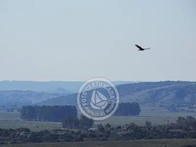 Casa Sol de Elefantes Villa Serrana