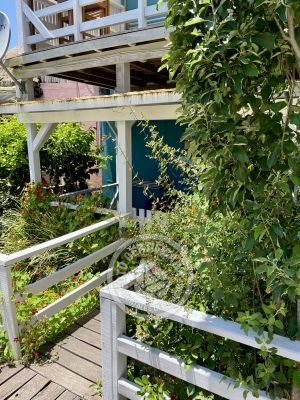 Posada Il Tano Suites - Romagna Punta del Diablo