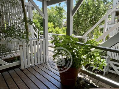 Posada Il Tano Suites - Romagna Punta del Diablo