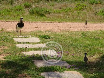 Villa Un Sueño Punta del Diablo