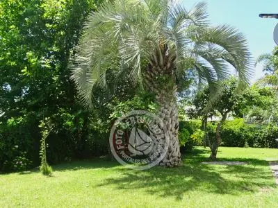 Casa Encandilada Valizas