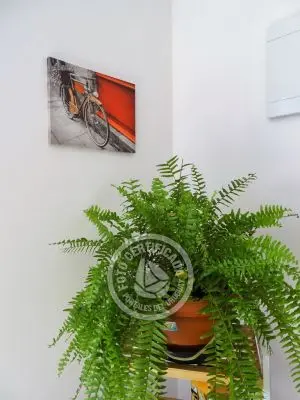 Casa Anubis Punta del Diablo