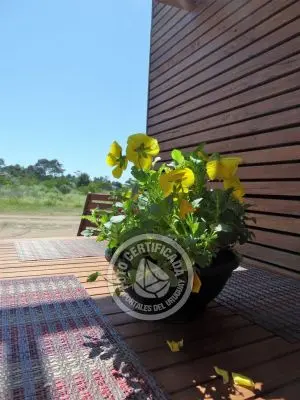 Casa Anubis Punta del Diablo