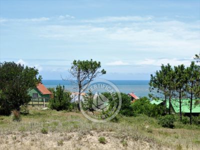 Las Azules - Punta del Diablo .- Foto del --/--/--