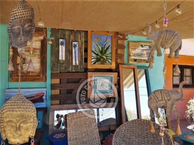 Shopping - Gifts Tienda Sentir Aguas Dulces