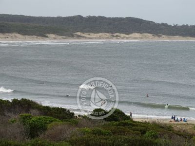 Surf School Escuela de Surf Playa Grande Punta del Diablo