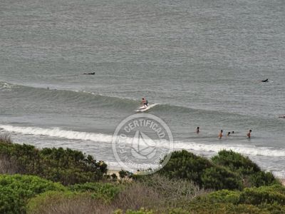 Surf School Escuela de Surf Playa Grande Punta del Diablo