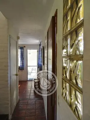 Serena 2 - La Paloma