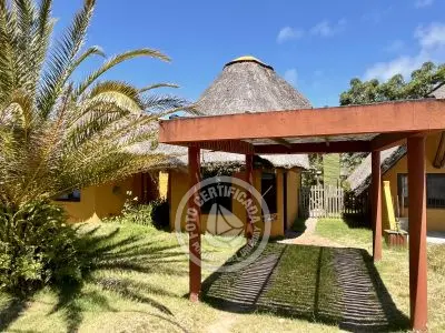 Cabin Coco Loco Lodge - Mojito La Paloma