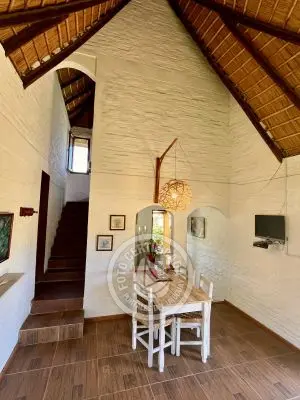 Cabin Coco Loco Lodge - Mojito La Paloma