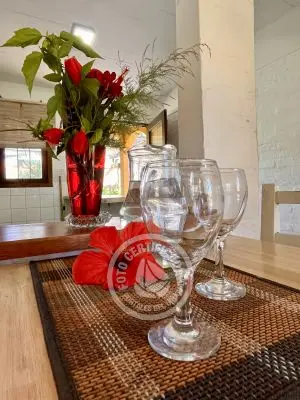 Cabin Coco Loco Lodge - Mojito La Paloma