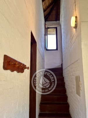 Cabin Coco Loco Lodge - Mojito La Paloma