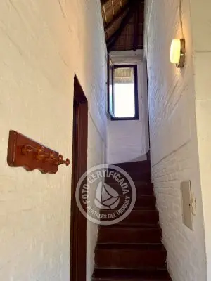 Cabin Coco Loco Lodge - Mojito La Paloma