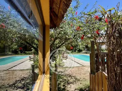 Cabana Coco Loco Lodge - Mai-Tai La Paloma