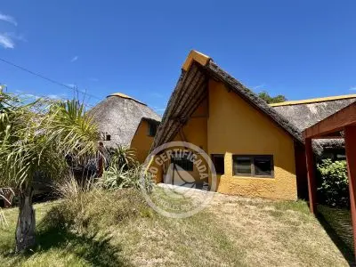 Cabaña Coco Loco Lodge - Tequila Sunrise La Paloma