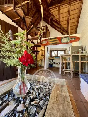 Cabaña Coco Loco Lodge - Tequila Sunrise La Paloma