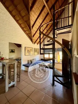 Cabaña Coco Loco Lodge - Tequila Sunrise La Paloma