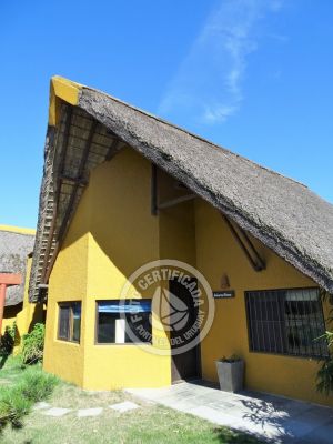 Coco Loco Lodge - Bahama Mama - La Paloma