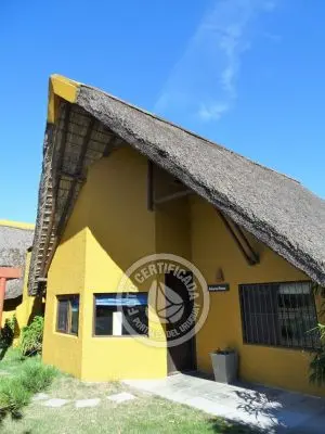 Coco Loco Lodge - Bahama Mama - La Paloma