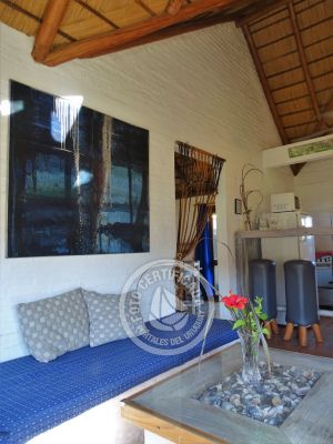 Coco Loco Lodge - Bahama Mama - La Paloma