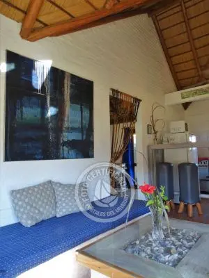 Coco Loco Lodge - Bahama Mama - La Paloma