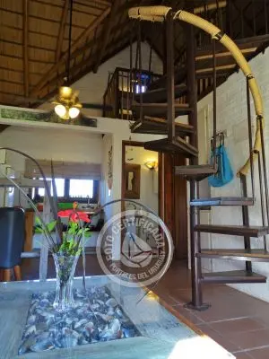 Coco Loco Lodge - Bahama Mama - La Paloma