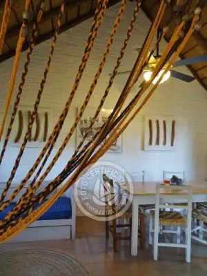 Coco Loco Lodge - Bahama Mama - La Paloma