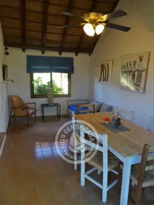 Coco Loco Lodge - Bahama Mama - La Paloma