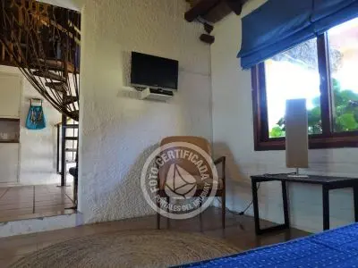 Coco Loco Lodge - Bahama Mama - La Paloma