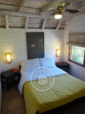 Coco Loco Lodge - Bahama Mama - La Paloma